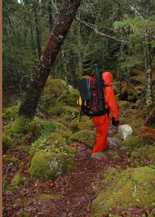 73Rainforest Fishing trip.jpg